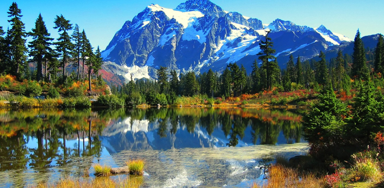 Shimla Manali Tour by Cab Shimla Manali Tour by Cab