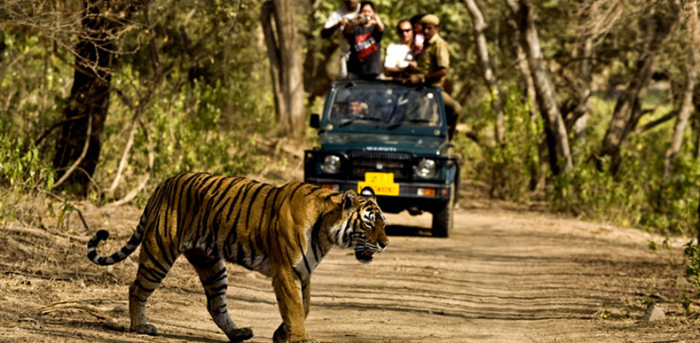Weekend Getaway to Corbett Tour Weekend Getaway to Corbett Tour
